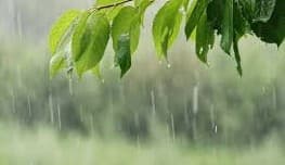 IMD Predicts Light Rain In Southern Odisha