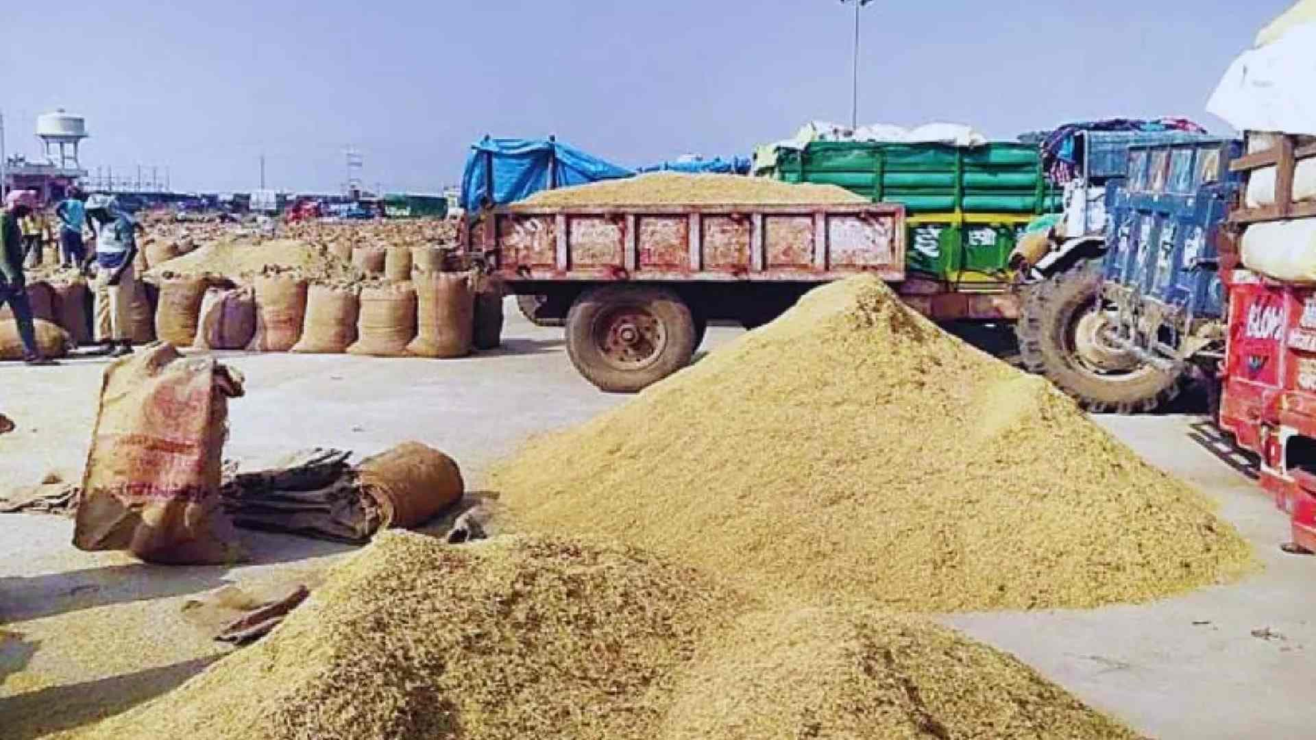 Paddy Procurement Drive Set to Begin Dec 25; Odisha Targets 100 Model Mandis in Two Years
