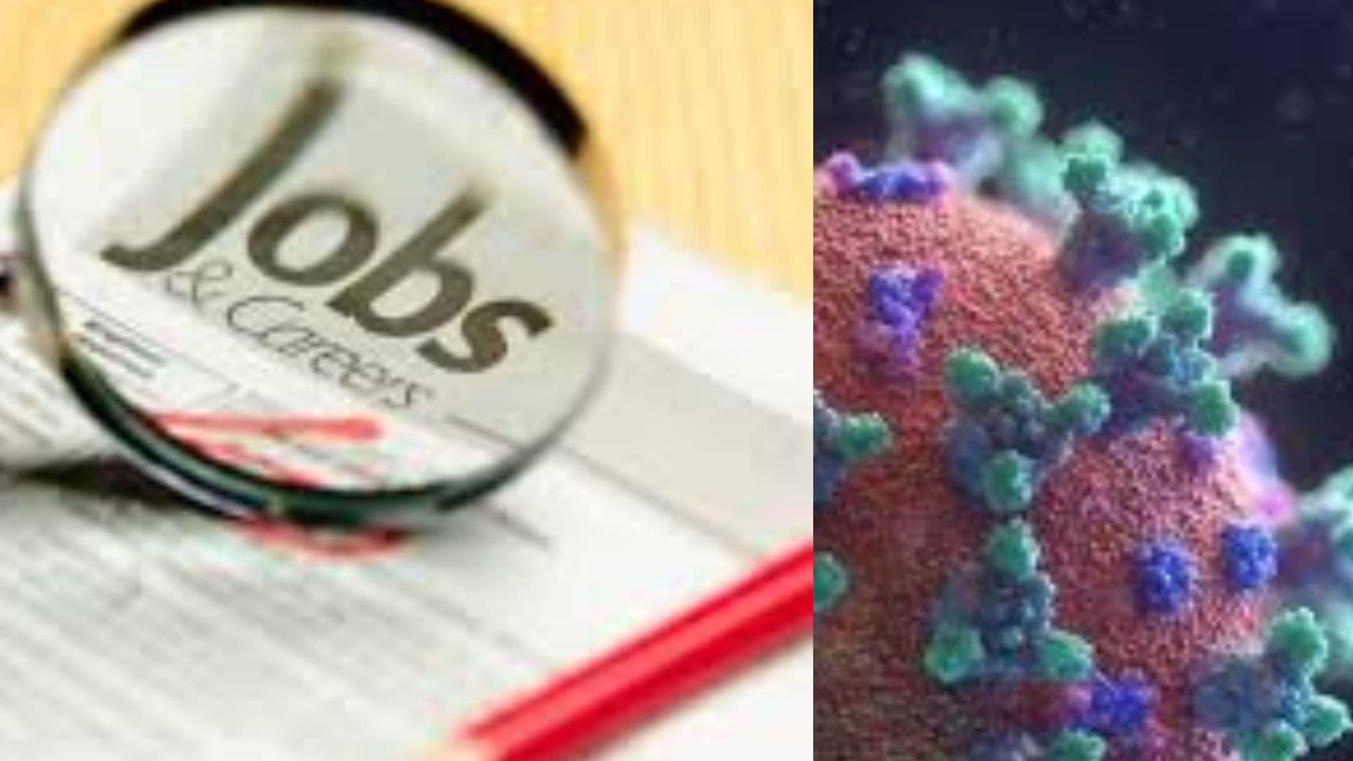 India's Job Postings Remain Above Pre-Pandemic Levels
