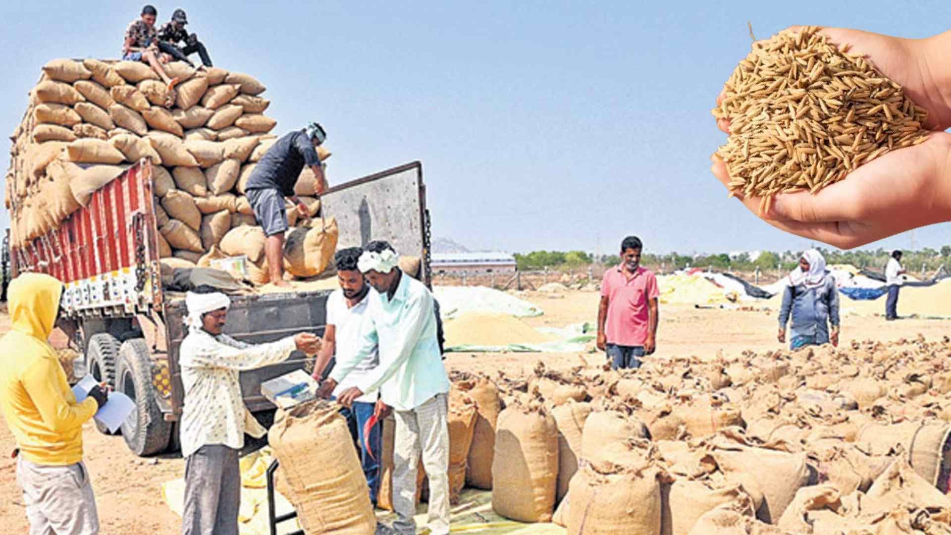 Minister Reveals Paddy Procurement Data, Reiterates Govt’s Chit Fund Investment Refund Pledge