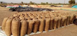 Inter-Ministerial Panel Monitors Paddy Procurement in 11 Odisha Districts