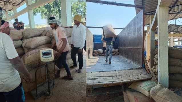 Odisha Expands Paddy Procurement To Four More Districts