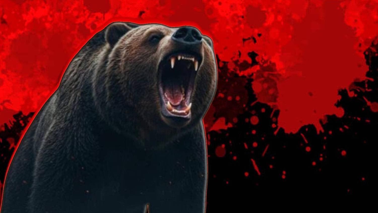Three Hospitalised In Nilagiri Wild Bear Attack