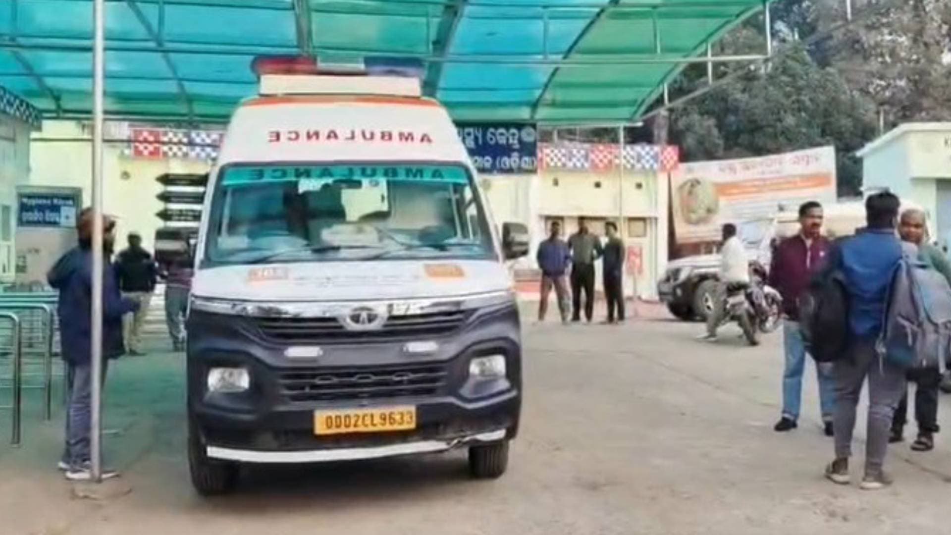 One Killed, Two Critical In Wild Boar Attack In Kandhamal’s Udayagiri