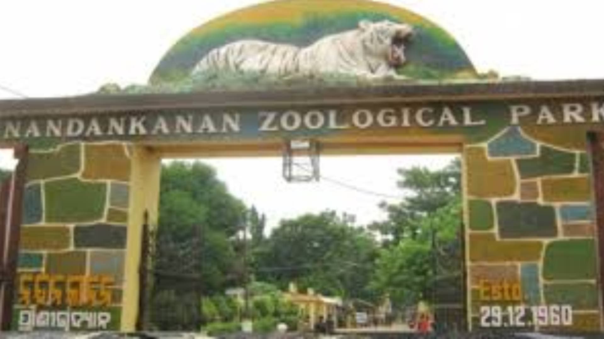 Nandankanan Zoo Reports Five Crocodile Deaths In A Week