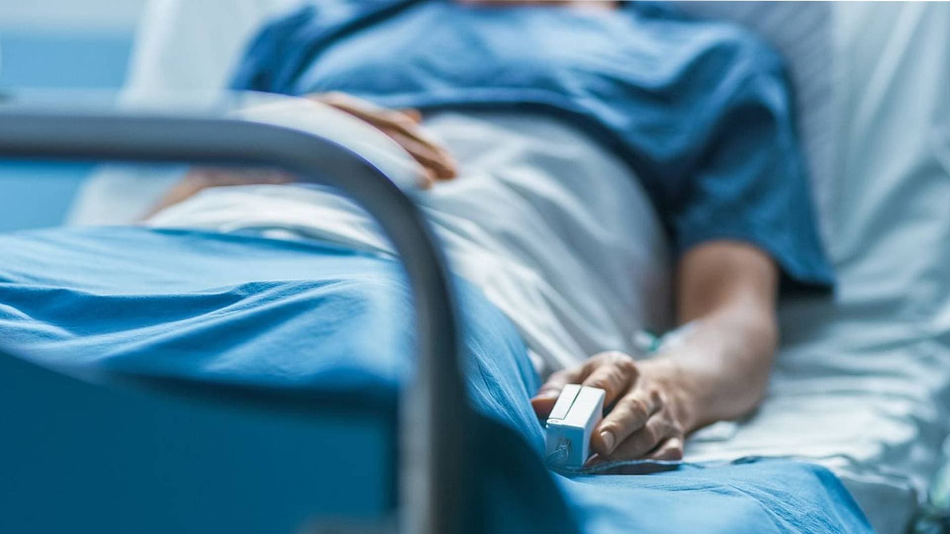 Dead Snake Found in Prasad, 40 Hospitalised