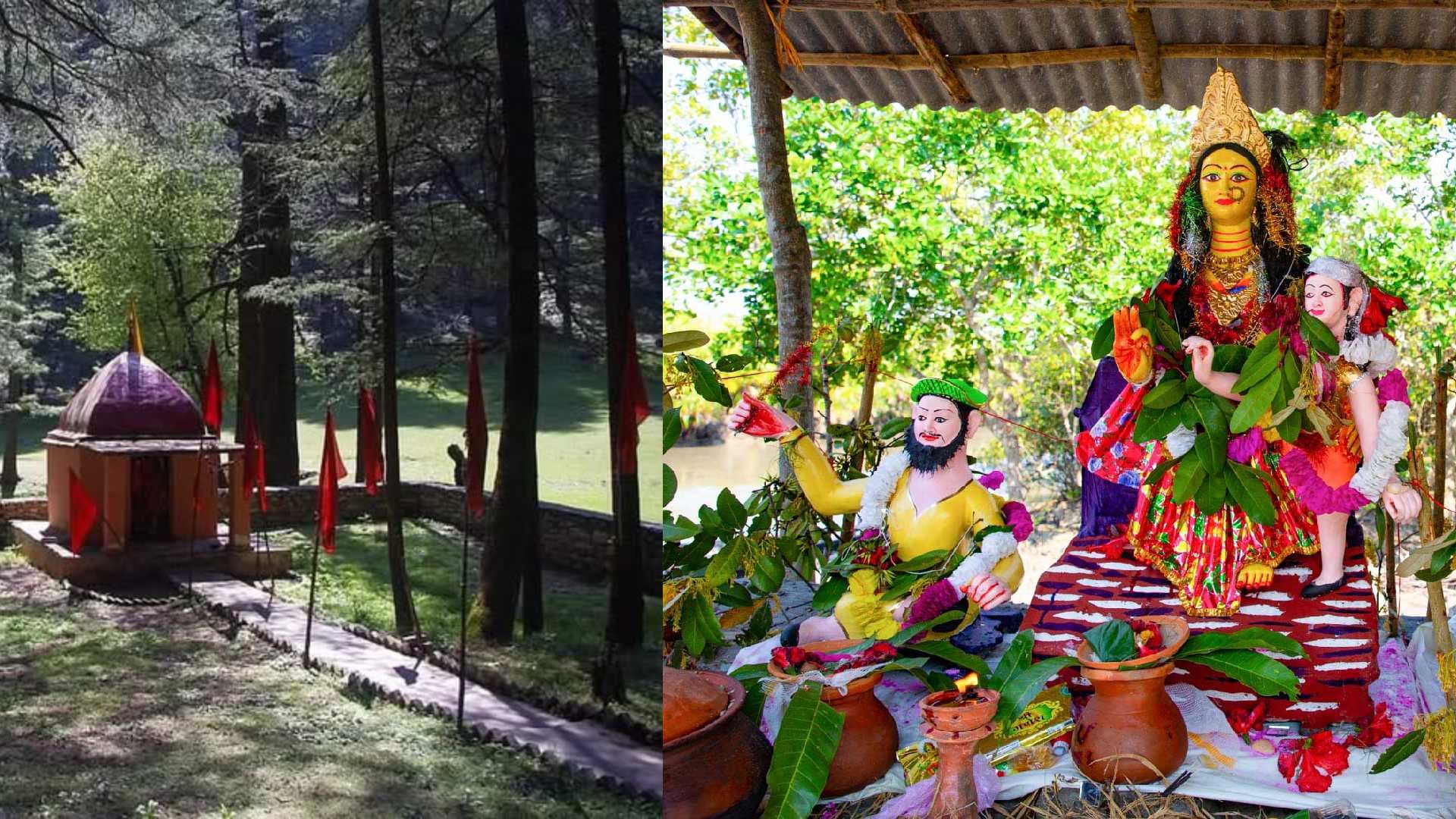 'Aranyani: The Invisible Queen of India’s Forests'