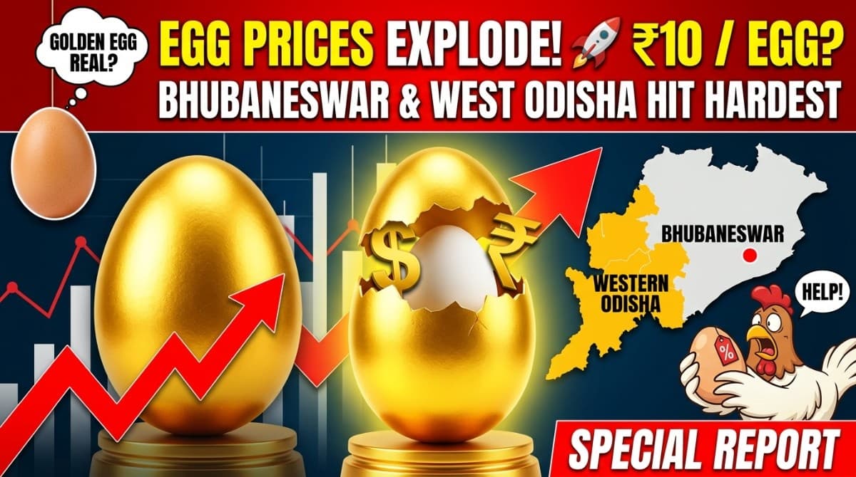 Egg-scuse Me, Are Golden Eggs Real? Bhubaneswar, Western Odisha Bear the Brunt of July's Egg-splosive Price Shock| Special Report
