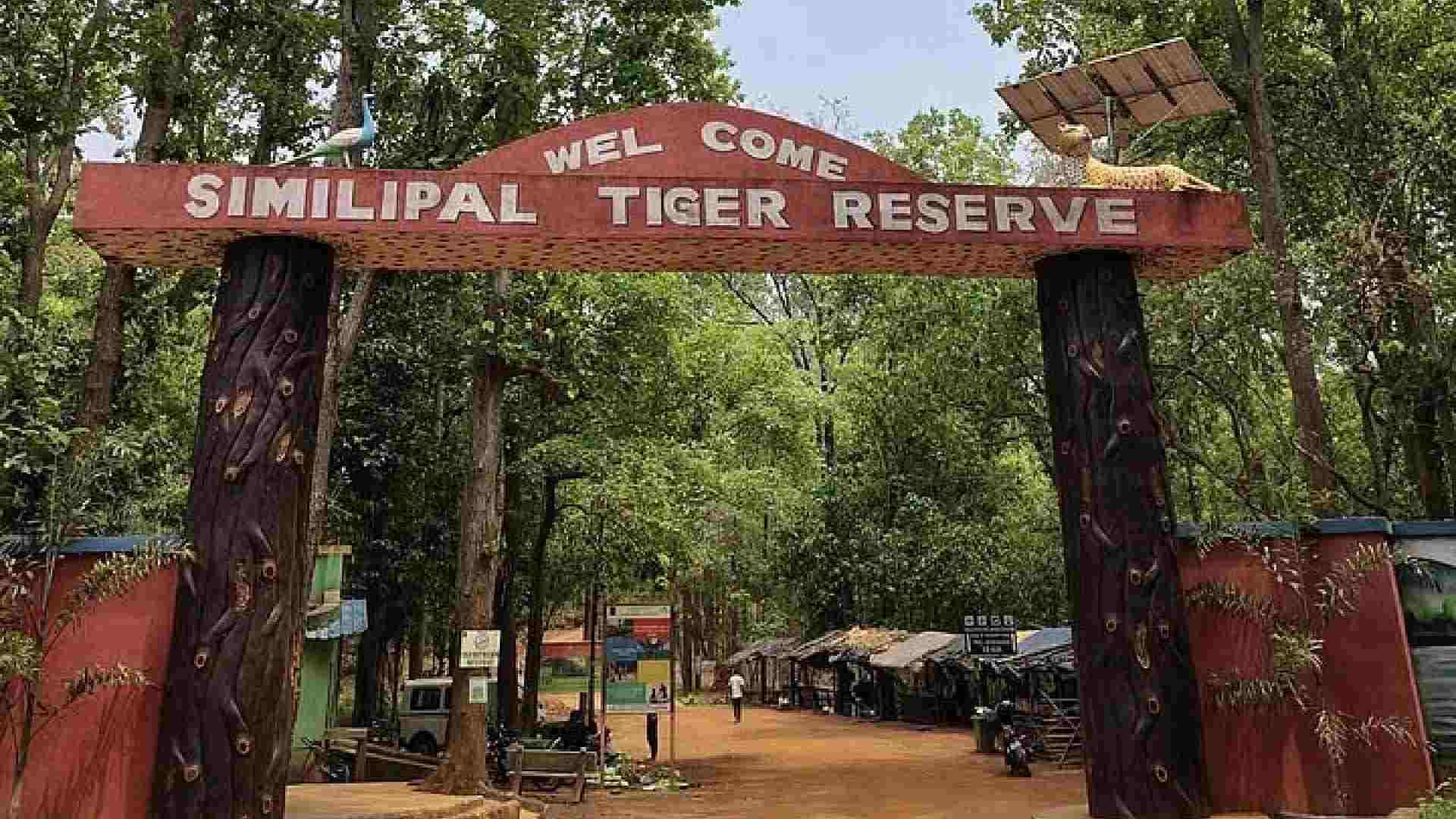 AI Cameras Foil Poaching Bid in Odisha’s Similipal Tiger Reserve, Four Arrested