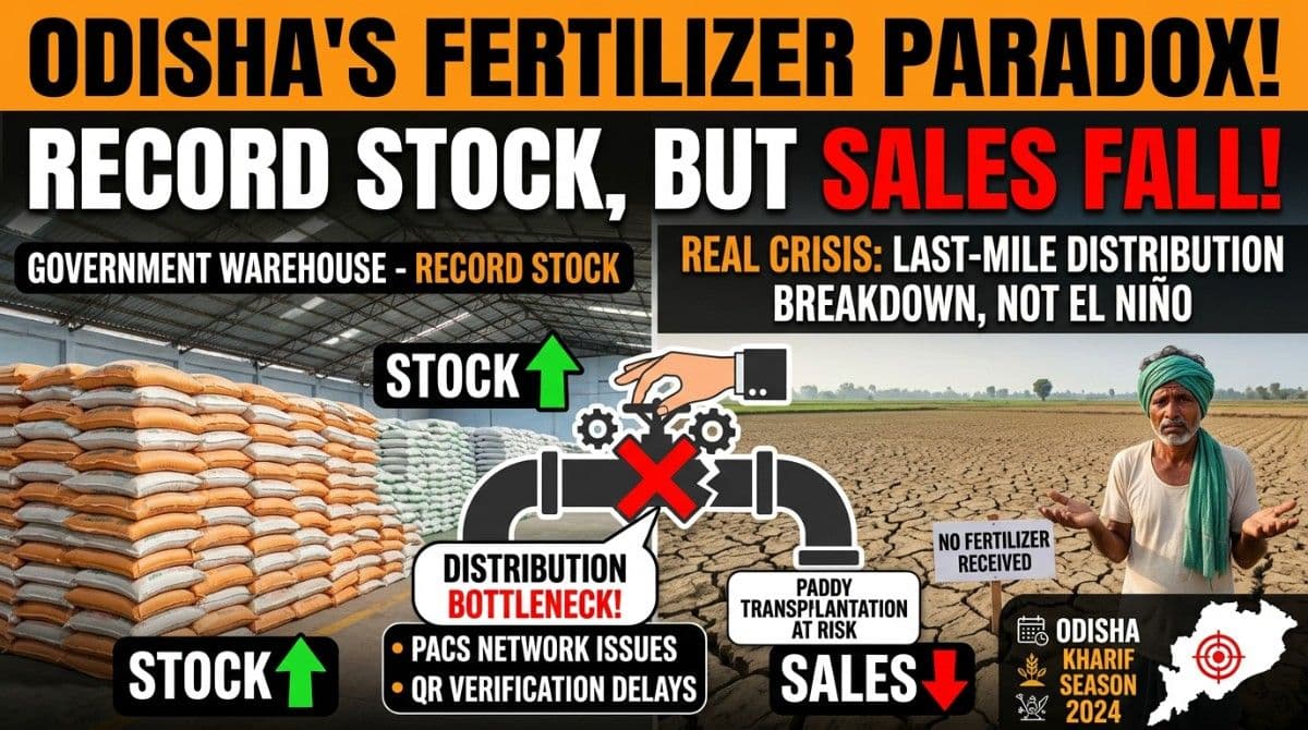 Why Fertiliser Sales Have Fallen in Odisha This Kharif Despite Record Stocks: The Real Crisis Lies Beyond El Niño