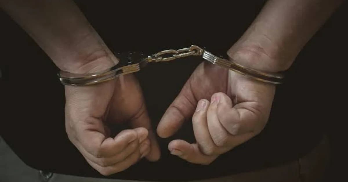 STF Cracks Odisha-Rajasthan Ganja Corridor, Three Arrested