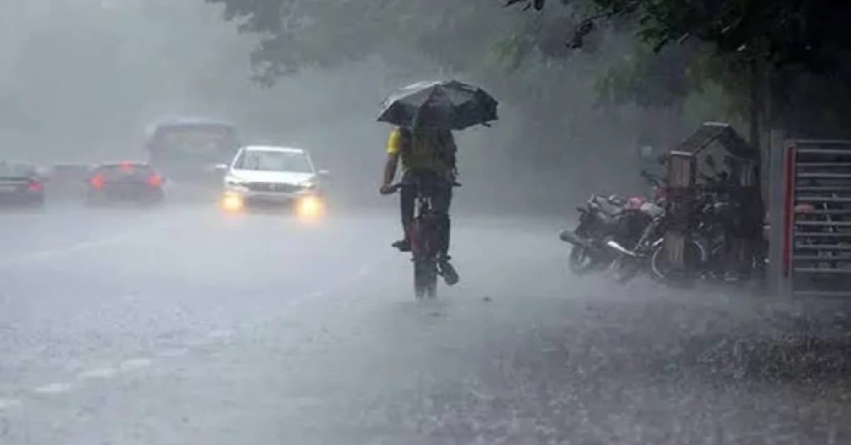 Rainfall Eases in Odisha, But Fresh Downpour Expected from August 2