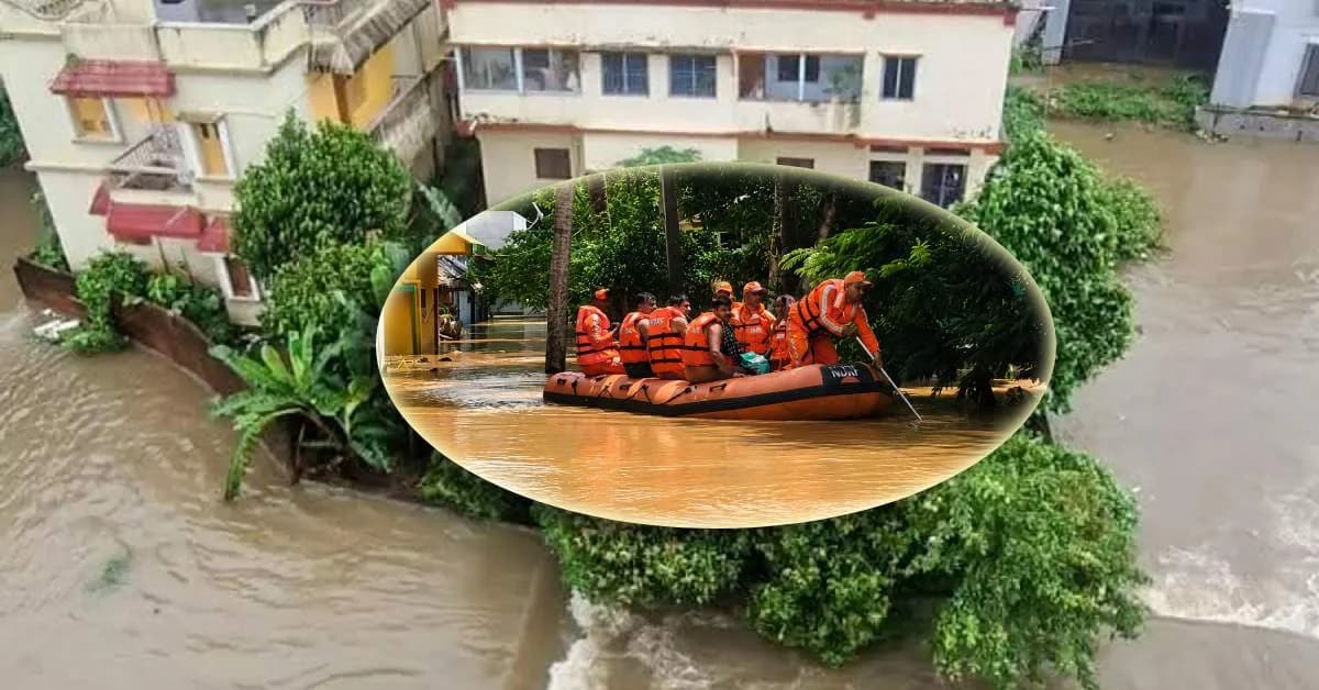 Rising Waters in Mahanadi, Baitarani Disrupt Life in Odisha