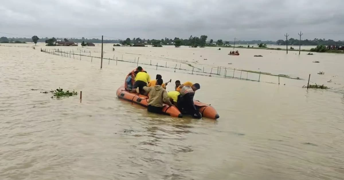 Odisha Flood Rescue: Elderly Farmer Rescued after 24-Hour Ordeal in Bhadrak