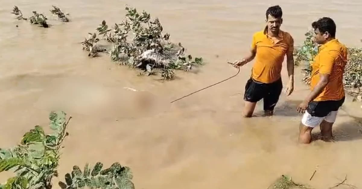 Decomposed Body Recovered From Kathajodi River In Kataka