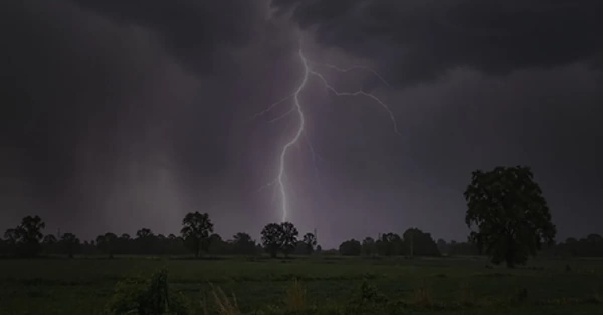 Lightning Strikes Kill Farmers, Teacher, and Child across Odisha