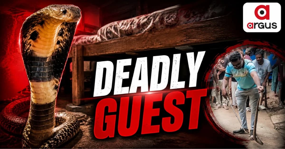 Flood Recedes, Deadly Visitors Move In: Venomous Cobra Found Inside Bhadrak Home
