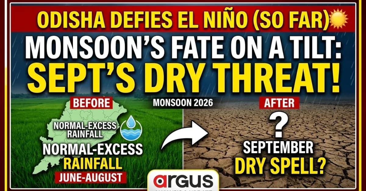 Super El Niño Impact: 376 Districts, Including 27 in Odisha, Receive Normal-to-Excess Rain Till Aug 5; Minister Flags Higher September Risk | Special Report