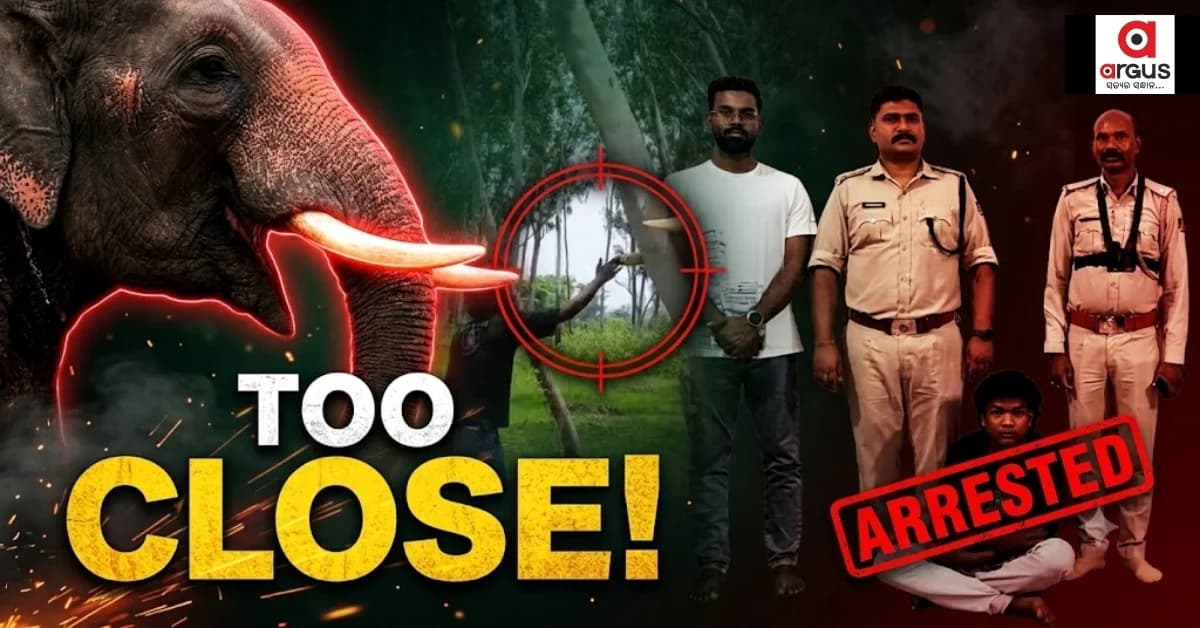 Viral Stunt Goes Wrong as Kendujhar Youth Grabs Wild Elephant's Tusk for Reel