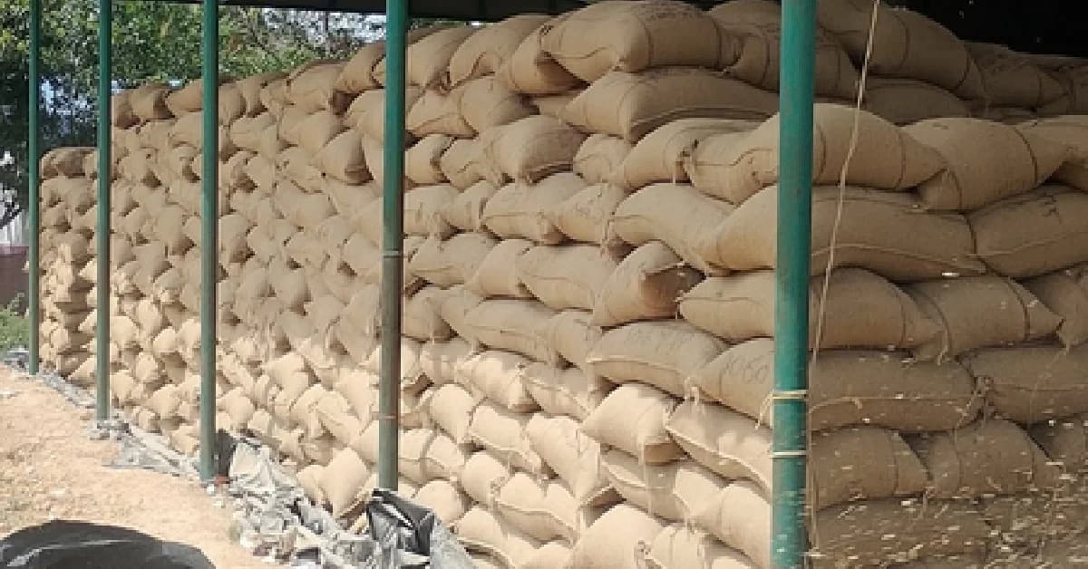 Odisha Kharif Paddy Procurement 2026: Registration Begins, Know Last Date