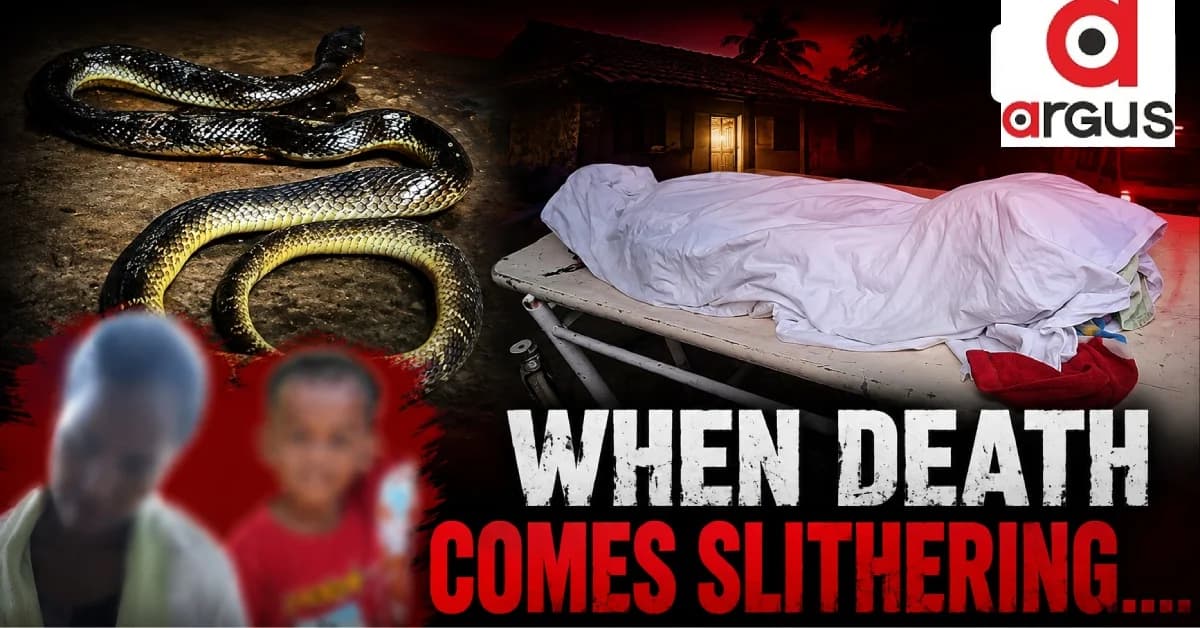 Banded Krait Bite Claims Lives of Mother and Child in Odisha's Gajapati District