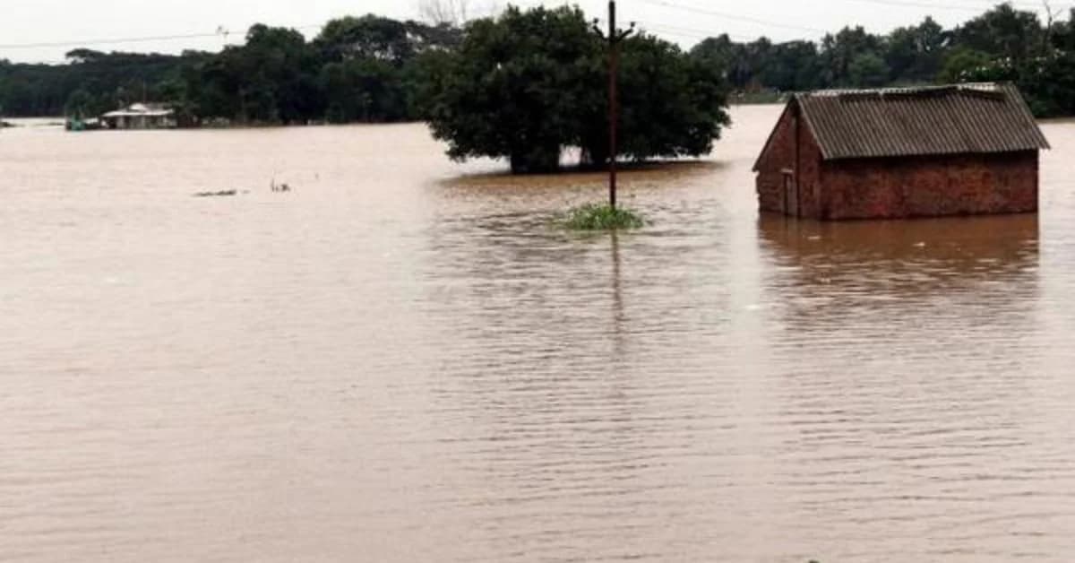 Bhadrak on Alert as Salandi River Swells Again