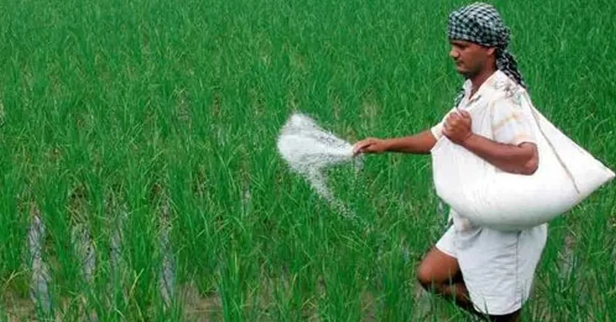 Fertilizer Black Market Bleeds Odisha Farmers