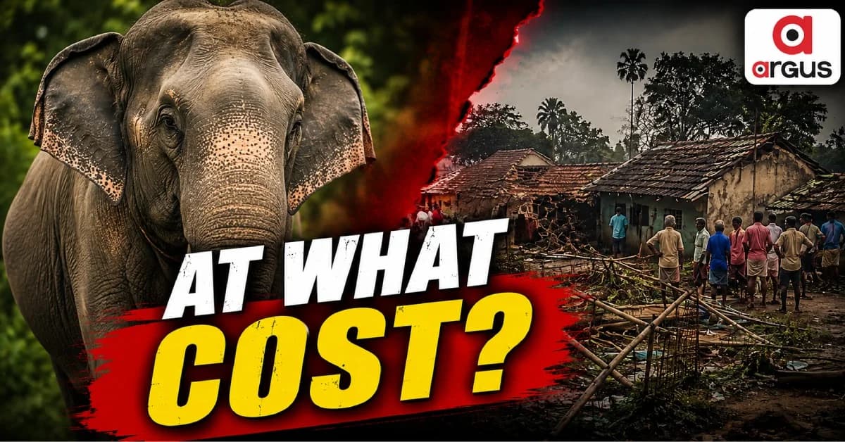 All About Odisha’s Elephant Conservation Story And The Cost Of Conflict