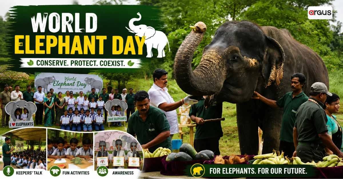 World Elephant Day Celebrated At Nandankanan Zoo With Conservation Awareness