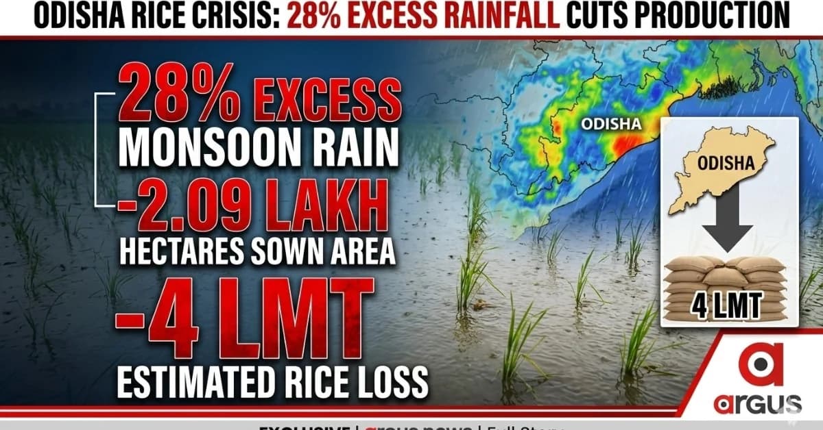 28% Excess Rainfall in Odisha This Monsoon May Cut Rice Production by 4 LMT | Exclusive