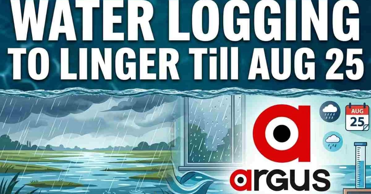 Flood In Balasore, Jajpur, Keonjhar, Bhadrak To Linger Waterlogging Till Aug 25| Special Report