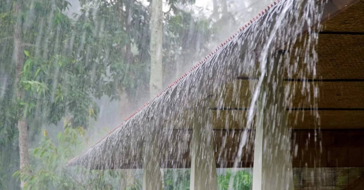 Fresh Low Pressure to Bring More Rain to Odisha