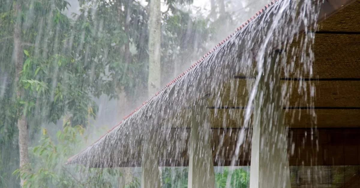 Fresh Low Pressure to Bring More Rain to Odisha