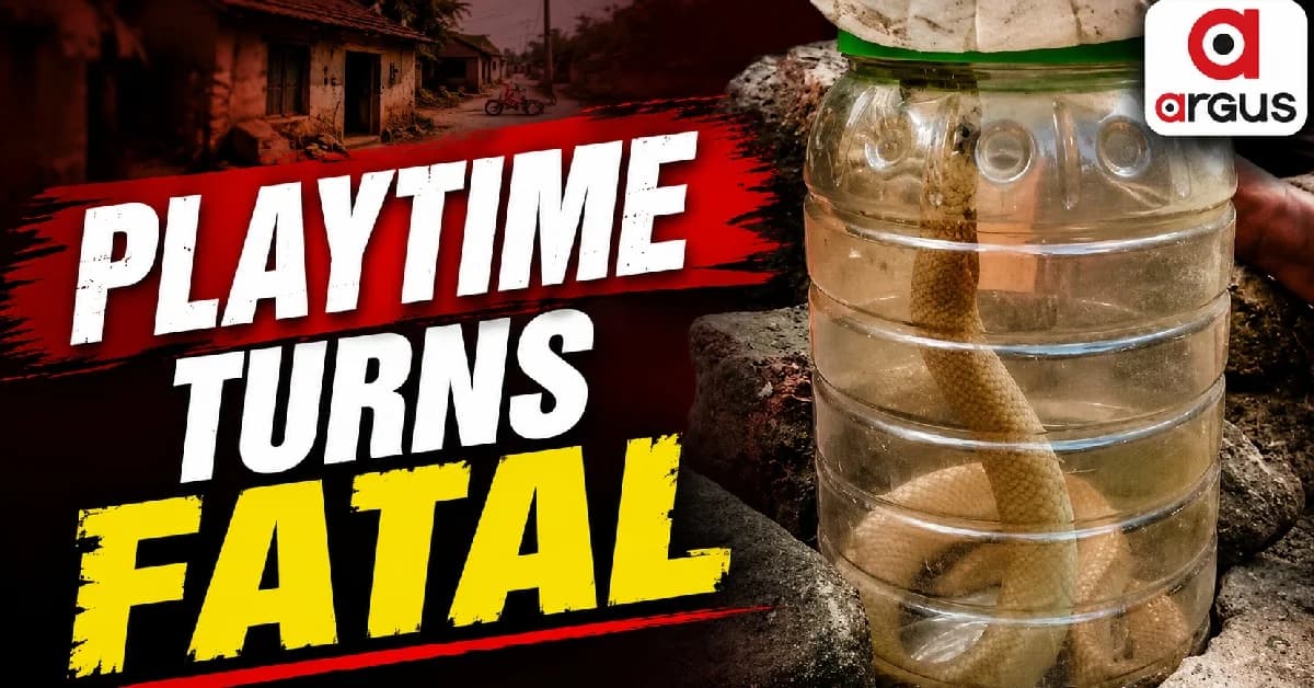 7-Year-Old Boy Dies After Snakebite In Odisha’s Balipatna