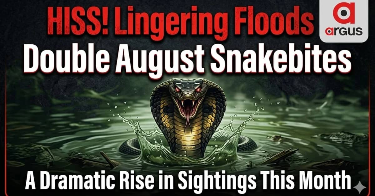 Odisha Floods: 19 Snakebites In 24 Hours But Extended Waterlogging Poses Growing Snakebite Risks| Special Report