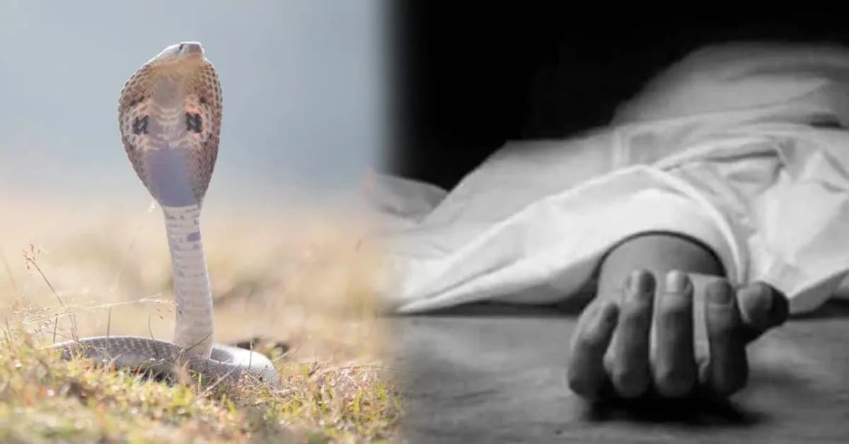 Snakebite Tragedy Claims Lives in Odisha Villages