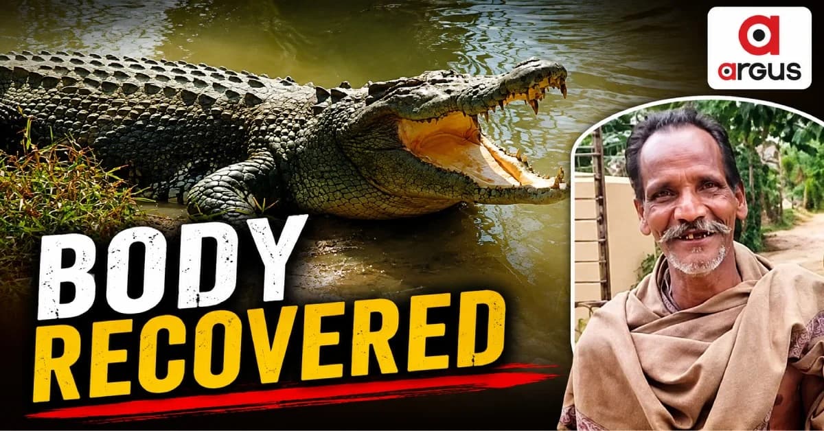 Crocodile Attack Victim’s Body Recovered After Two Days In Odisha's Kendrapada District