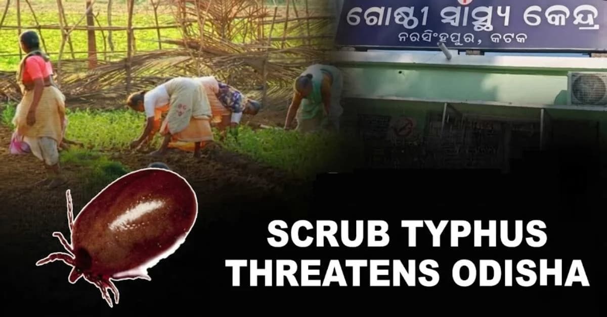 Scrub Typhus Claims Life in Kataka’s Narasinghpur
