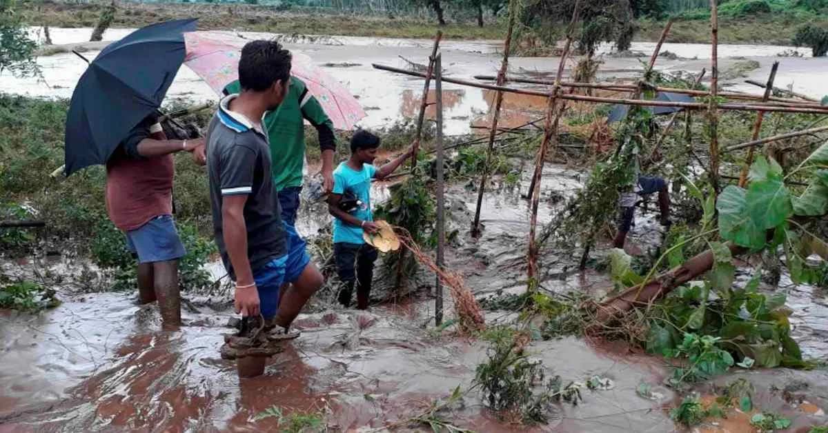 Heavy Rains Trigger Floods in Odisha Districts, Mayurbhanj Worst Hit