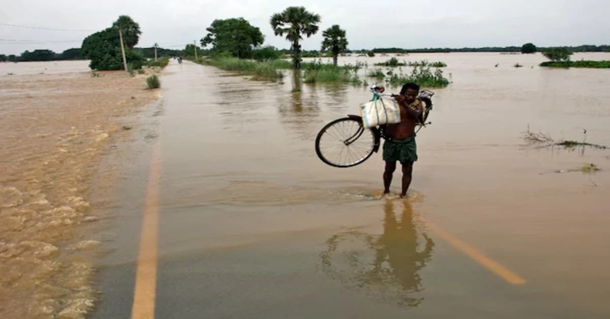 Odisha Floods Ease, Relief and Rescue Continue as Government Maintains Vigil