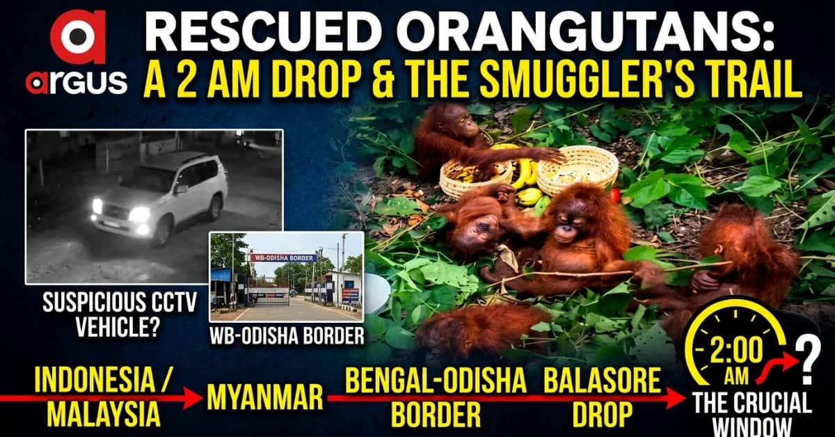 EXCLUSIVE | The 2 AM Forest Drop, Bengal Trail & 2015 Eluru Clue: Rescue of Five Baby Orangutans in Baleswar Exposes Interstate Wildlife Smuggling