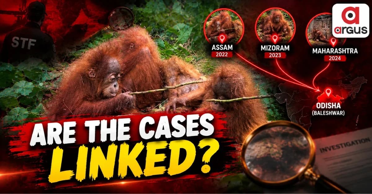 Odisha STF Examines Past Orangutan Seizures To Trace Baleshwar Smuggling Link