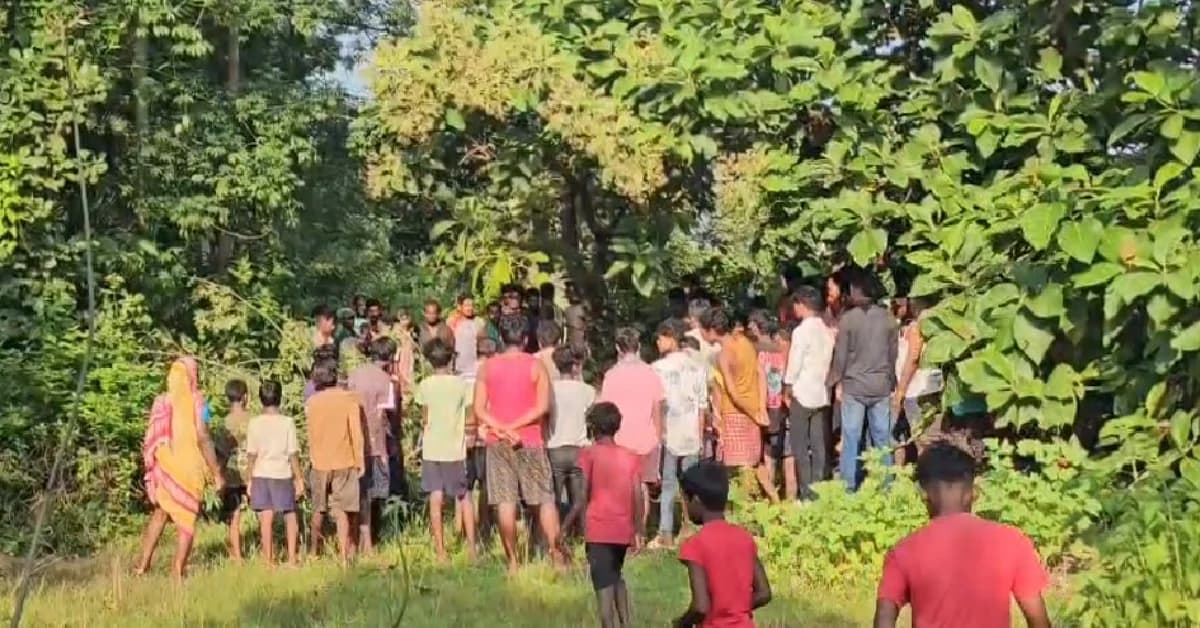 Two Killed in Three Separate Road Accidents Across Odisha; Coal-Laden Trailer Overturns in Anugola