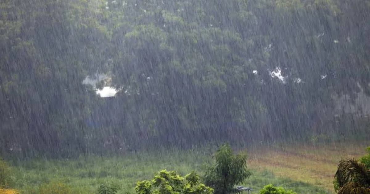 IMD Warns of Heavy Rain in Odisha, Possible Cyclone Formation
