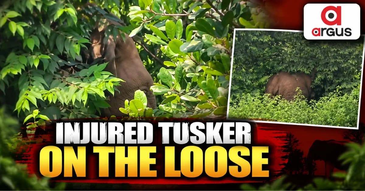 Fear Grips Andharua Residents as Injured Elephant Roams Near Human Habitation