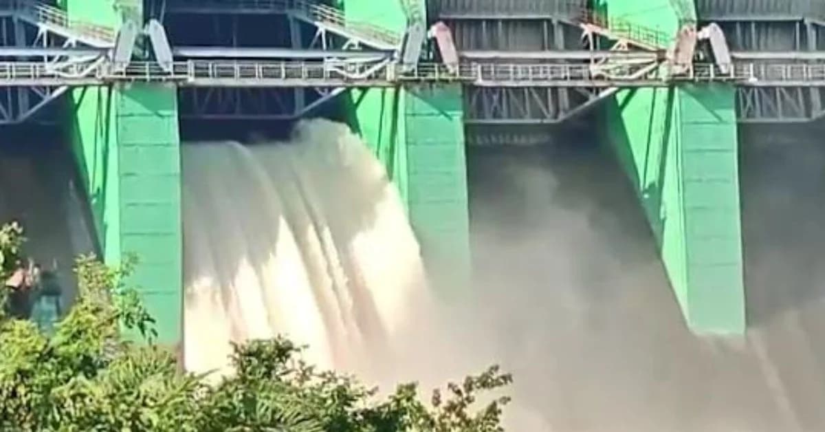 Indravati Gate Opens after 7 Years, Hirakud Hits Maximum Level as Odisha Braces Heavy Rain