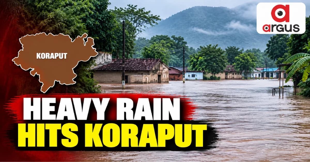 Incessant Rain Triggers Flooding in Koraput; ODRAF, Fire Services Evacuate Stranded Residents