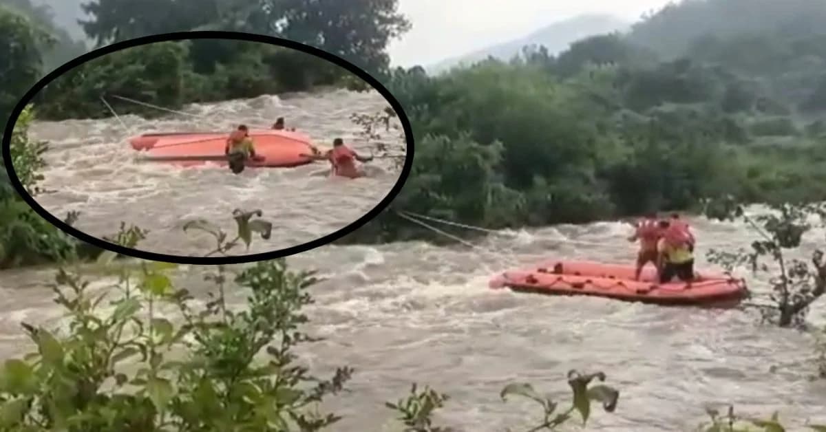 Rescue Attempt Fails, Yet Mother and Baby Safe