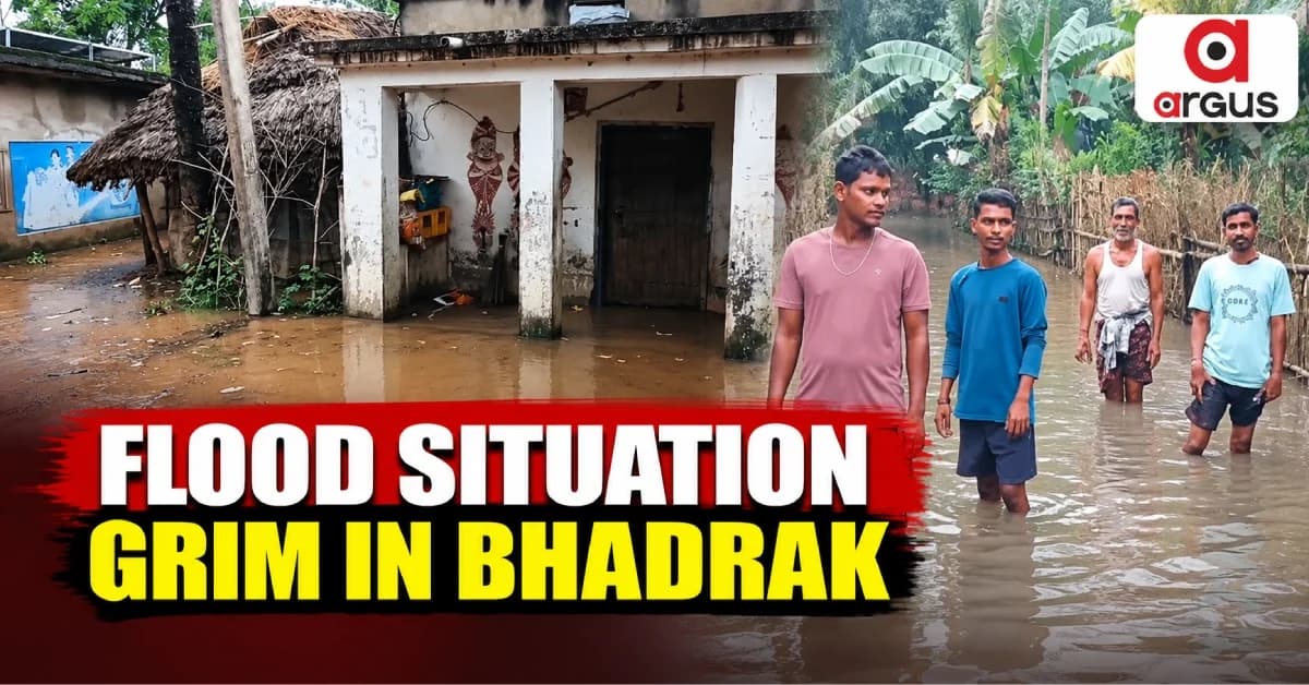 Odisha Flood Update: 1.84 Lakh People Affected In Bhadrak District, 66 Free Kitchens Serving Relief