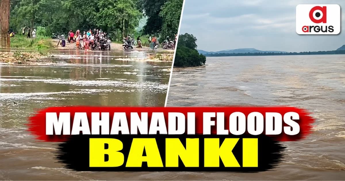 Mahanadi Flood Disrupts Connectivity In Kataka's Banki-Dampada Block, Six Panchayats Cut Off